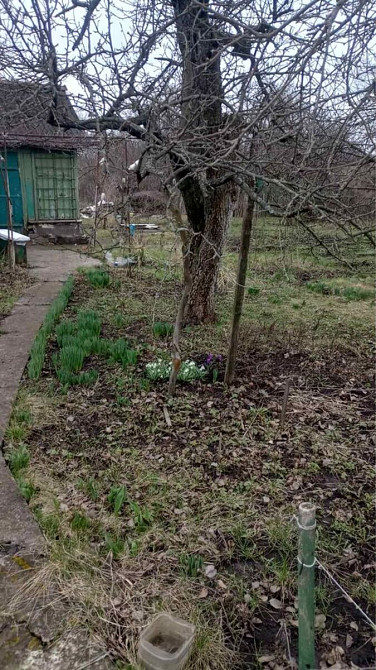 Дача «Урожай» Аеропорт Кропивницький - фото 3