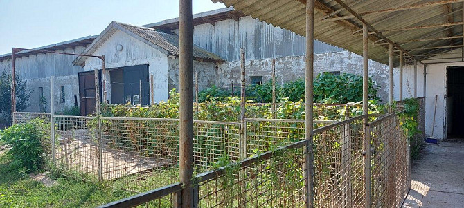 Продаж приміщення вільного призначення Доброолександрівка - фото 3