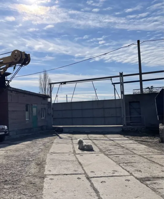 Продаж Виробниче або промислове приміщення площа 600 кв.м  на Отамана Чепіги Одеса - фото 7