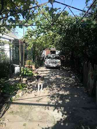 Продается дом с. Маяки. Маяки (Біляївський район)