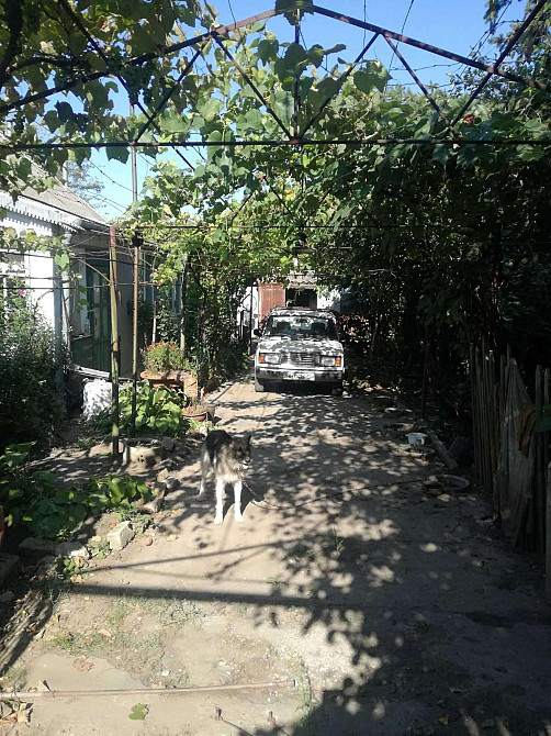 Продается дом с. Маяки. Маяки (Біляївський район) - фото 6