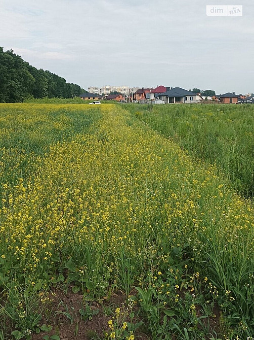 Продаж земельної ділянки 6 соток Вінниця - фото 3