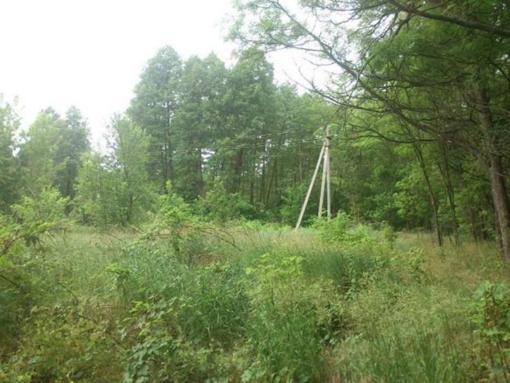 Продаж земельної ділянки 12 соток Вороньківка - фото 2