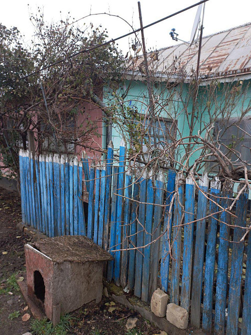 Продам дом в Троицком Новотроїцьке (Любашівський район) - фото 6