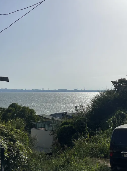 Продам 2-х этажную дачу возле моря в Крыжановке (218 Причал) Крижанівка (Комінтернівський район) - фото 2