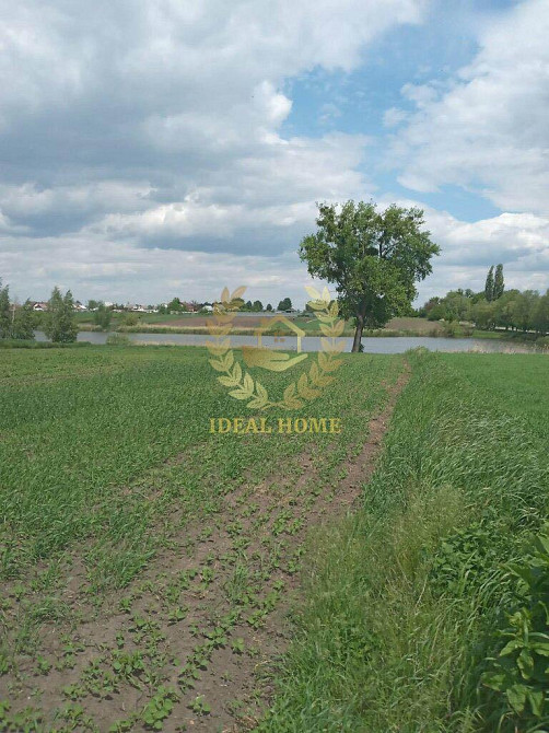 Продам чудовий будинок у мальовничому селі Пологи,  - фото 7