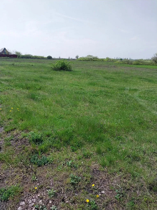 Продаж земельної ділянки 12 соток Кропивницький - фото 7