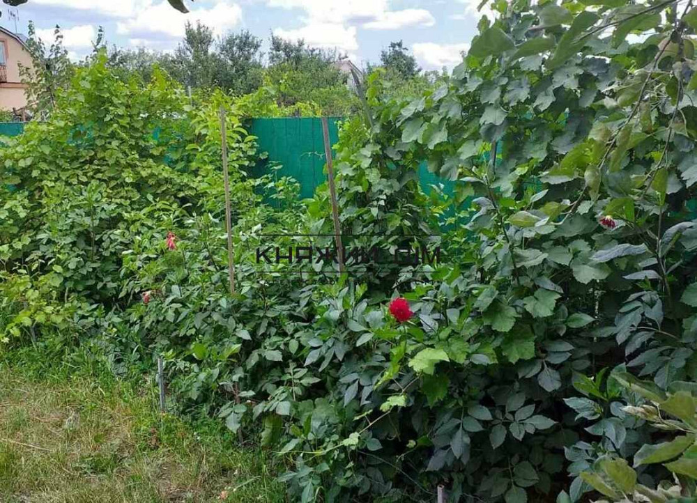 Продажа дома под жилье или бизнес пгт Большая Дымерка. № 2210662  - фото 6