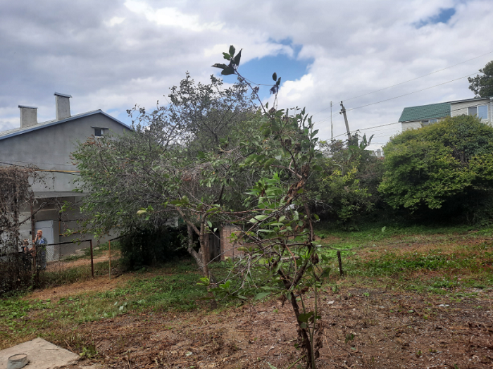 Продаётся уютная зимняя дача в Черноморке Одеса - фото 11