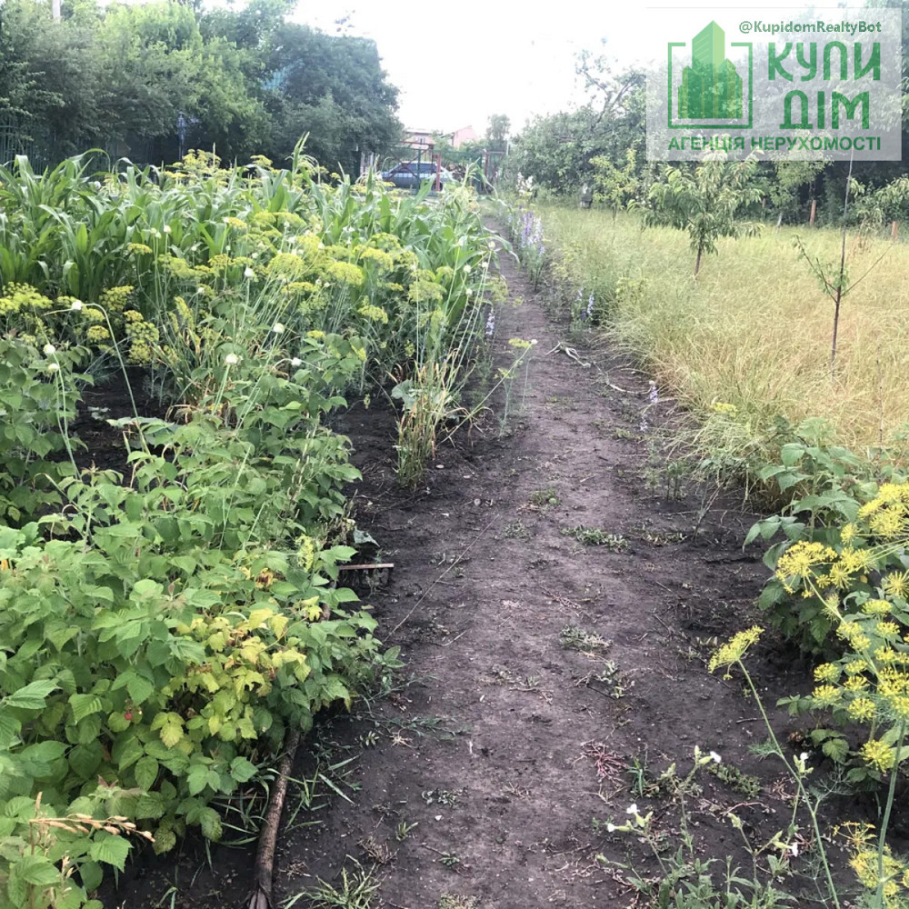 Продаж земельної ділянки 12 соток на АН Купи Дім Кропивницький - фото 4
