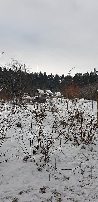 Продаж земельної ділянки 10 соток на Зарічани(в лісі) Zhytomyr - photo 4