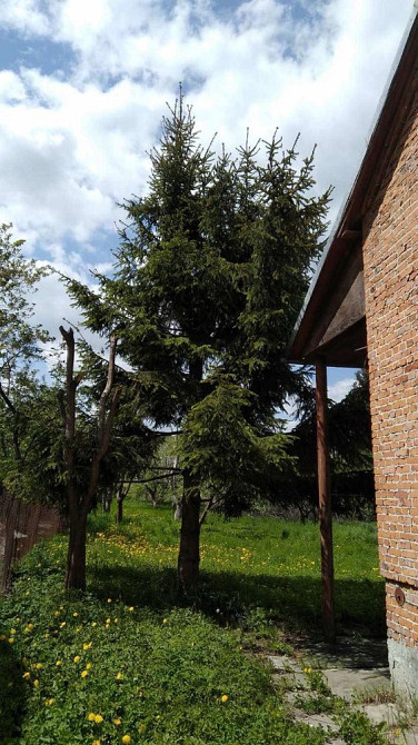 Продаж Квартира на улица Бібрка - фото 6