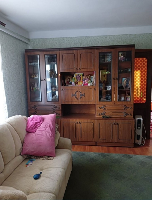 Предлагается к продаже частный дом в Троицком Новотроїцьке (Любашівський район) - фото 5