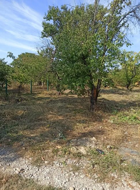 Продаж земельної ділянки 6 соток на АН Купи Дім Кропивницький - фото 3