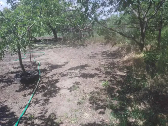 Продаж 1-поверховий Будинок з ділянкою 25 сот 67 кв.м 4 кімн. на с Діброва Дніпро