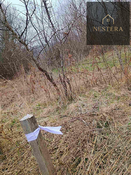 Продаж Будинок Туриця - фото 1