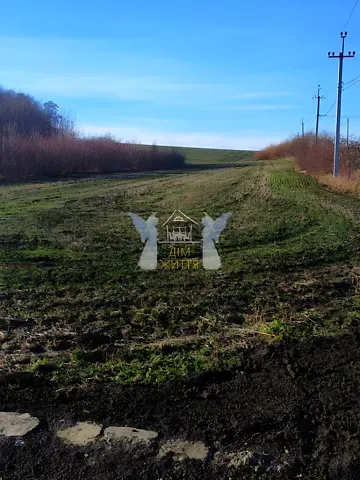 Продажа земельного участка  площадь 10 сот   - изображение 8