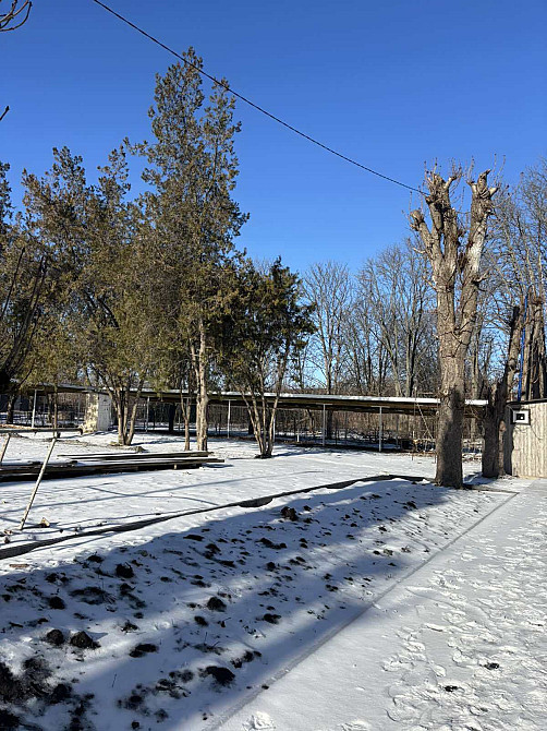 Продаж Квартира 1-кімнатна, 1/4 поверх на Вулиця Степана Чобану-(Добровольского), 12 Кропивницький - фото 9