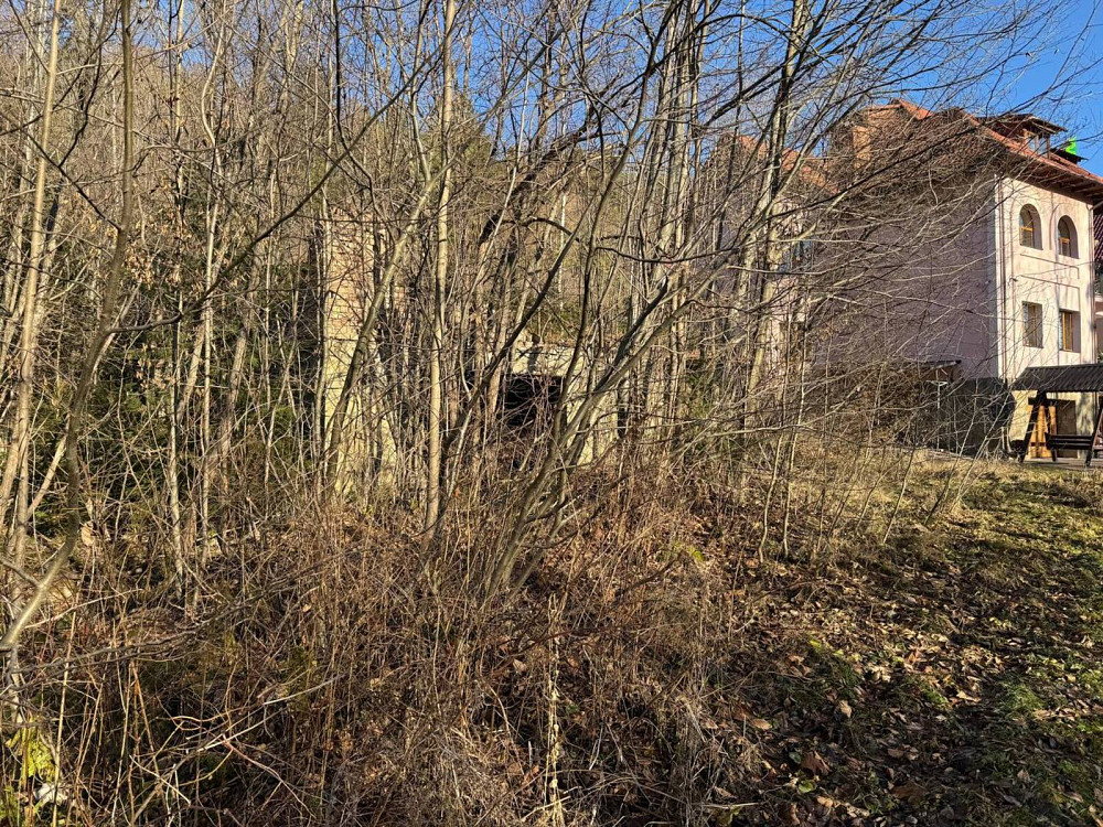 Продаж земельної ділянки 24 соток на Свободі Yaremche - photo 11