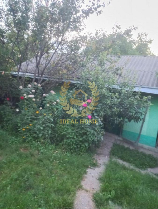 Продаж Будинок 3-кімнатний на Остапа Вишни ул., 17  - фото 17