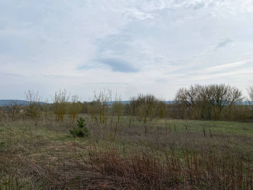 Продаж земельної ділянки 14 соток на мельника вячеслава  - изображение 11