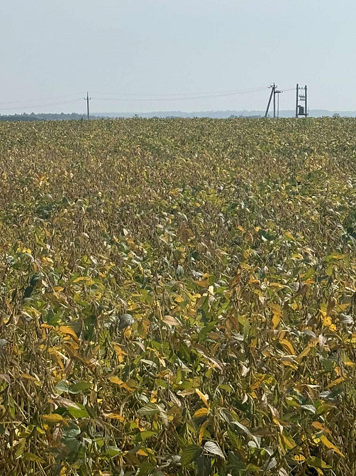 Продаж Квартира  - photo 1