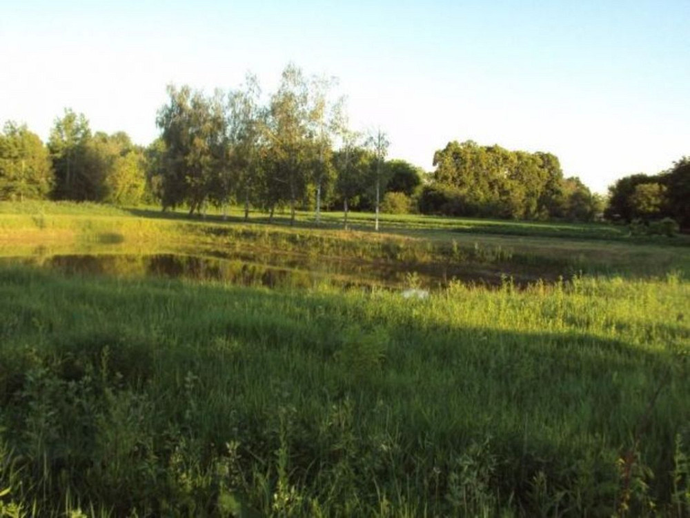 Продаж земельної ділянки 15 соток  - фото 3