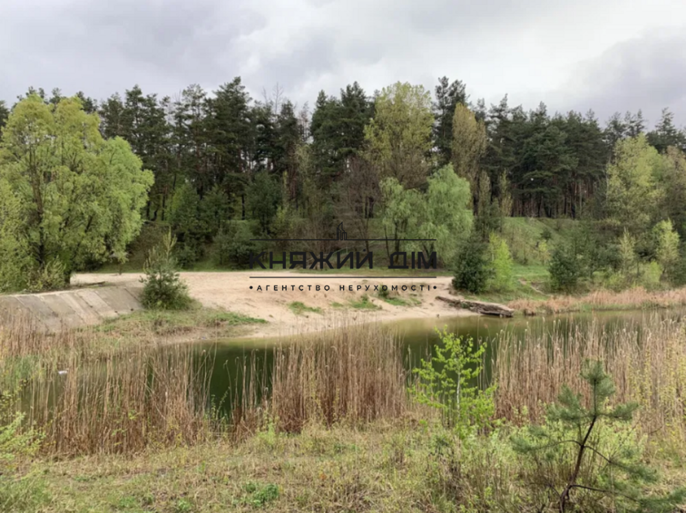 ПРОДАЁТСЯ ЭКО-ДОМ СО СРУБА В ЛЕСУ ВОЗЛЕ ОЗЕРА с.Малая Александровка Бориспольского района  - фото 8