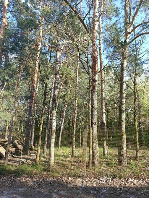 Продаж Будинок Vinnytsya - photo 8