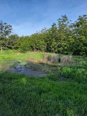 Продаж земельної ділянки 0.1 соток на ул. Миру, 37 Kholodna Balka