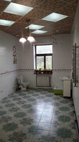 Продам 3-х этажный дом в Лесках Ліски (Комінтернівський район) - фото 17