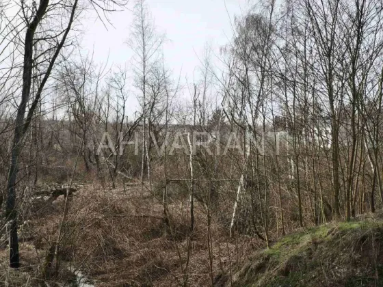 Продаж земельної ділянки Для сільськогосподарської діяльності площа 1191 сот Польова Середнє