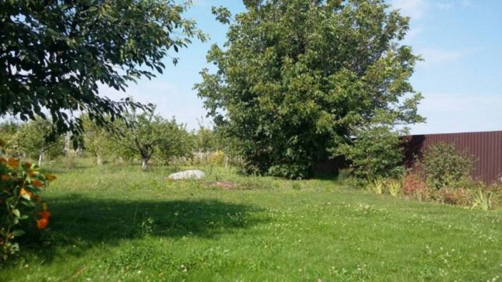 Продаж земельної ділянки 20 соток Головурів - фото 9