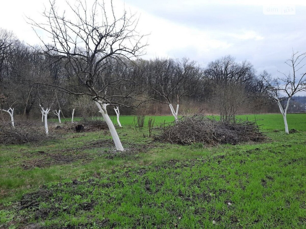 Продаж земельної ділянки 40 соток  - фото 2