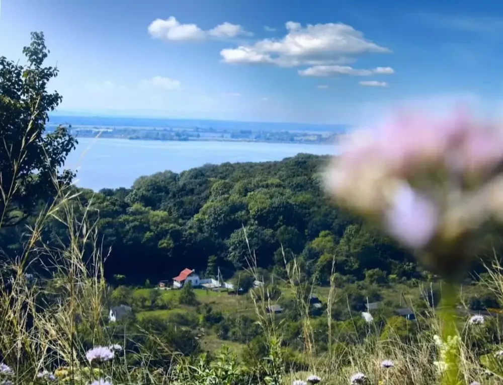 Продаж земельної ділянки 12 соток Bovshiv - photo 12