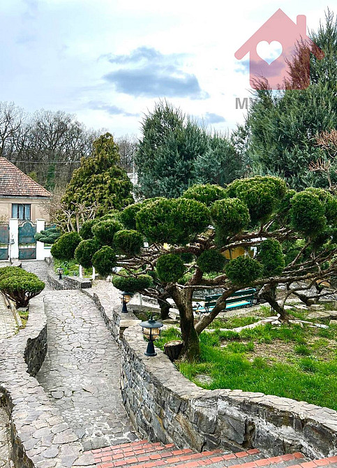 Продаж будинку район Аеропорту! Uzhhorod - photo 3