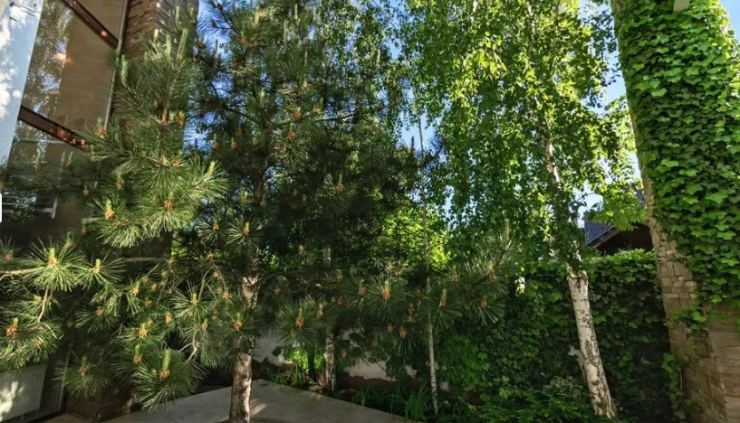 Оренда Будинок на Куприна ул. Одесса - изображение 14