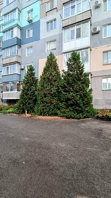 Продаж 2к., квартири по вул. Попова 11. Кропивницький - фото 8