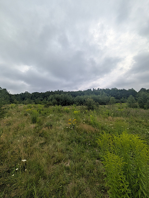 Продаж земельної ділянки 1 га на Урочище Біля Шевадуцької Наталії Viktoriv - photo 9