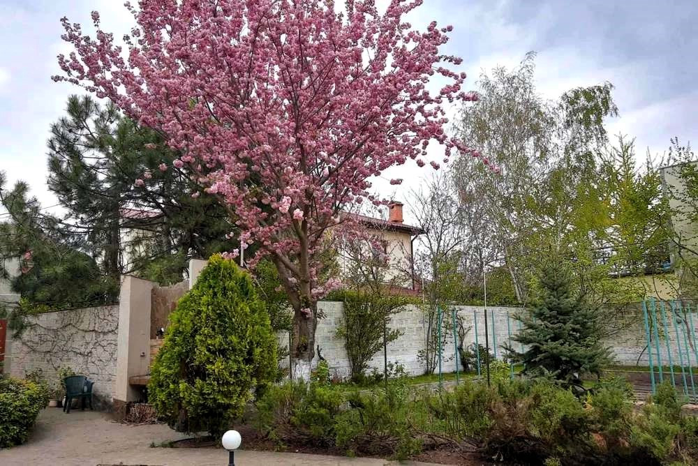 Капитальный дом на 15 сотках земли, Фонтан/ул. Куприна Odessa - photo 2