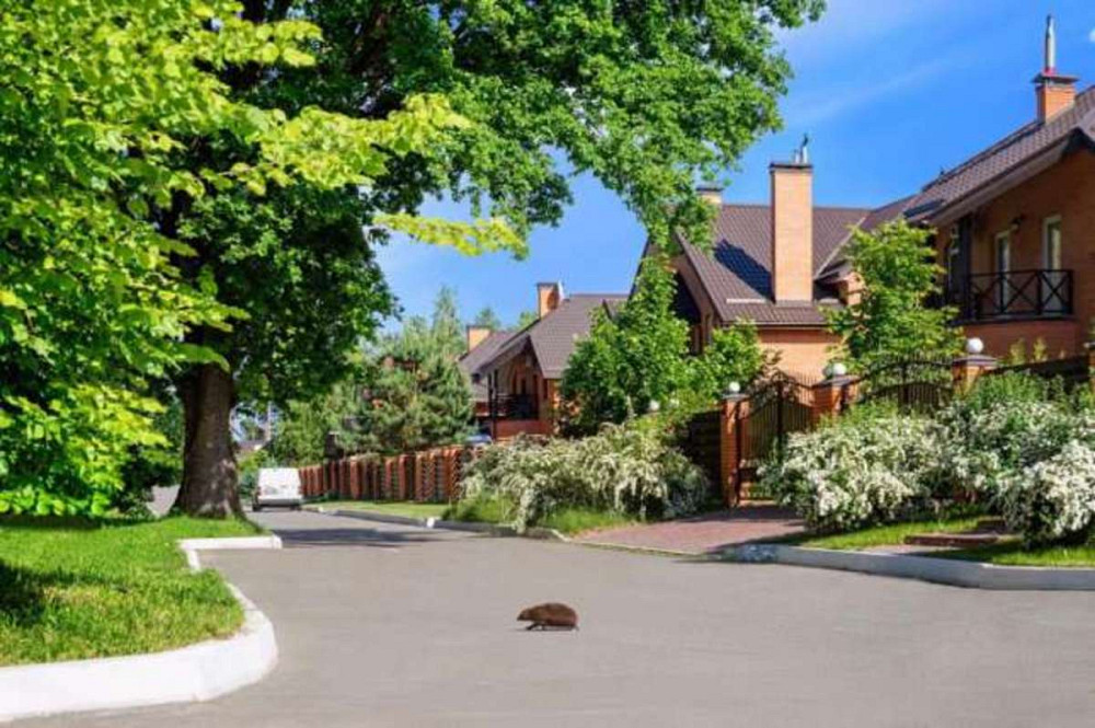 Продаж 2-поверховий Будинок з ділянкою 6 сот 300 кв.м   Гора - фото 3