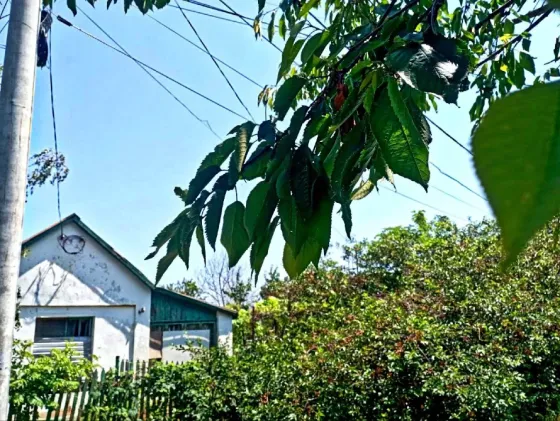 Продаж земельної ділянки Для будівництва приватного житлового будинку площа 4.9 сот Мала Садова вулиця, 19 Одеса