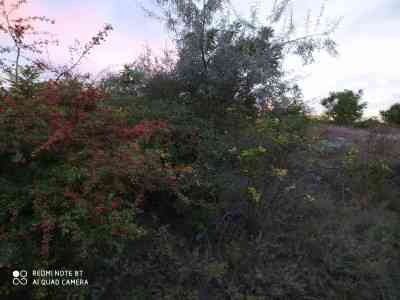 Продаж земельної ділянки 0.1 соток на ул. Прицеповская, 7 Протопопівка