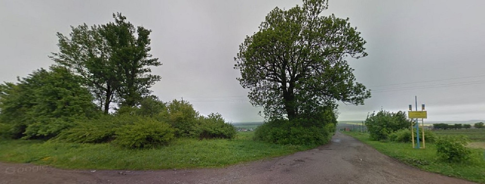 Продаж земельної ділянки 1 га Sadky - photo 17