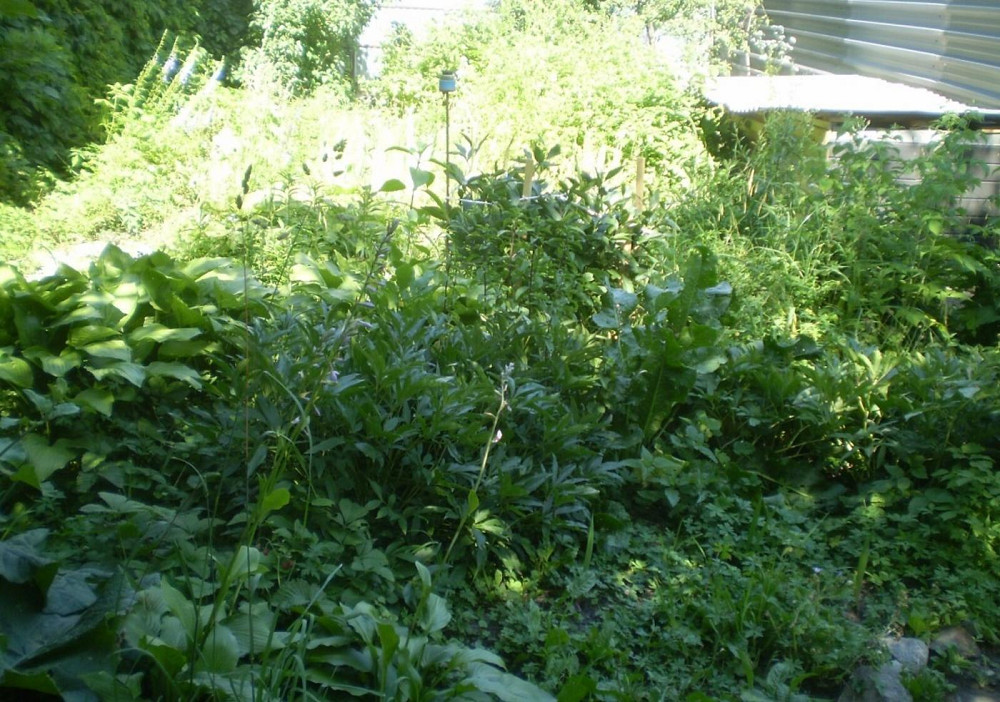 Продаж Квартира 4-кімнатна, 1/1 поверх на вул. Київська Житомир - фото 6