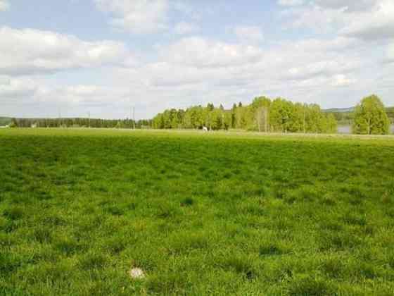 Продаж земельної ділянки 16 соток Лебедин