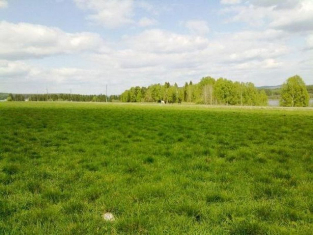 Продаж земельної ділянки 16 соток Лебедин - фото 3