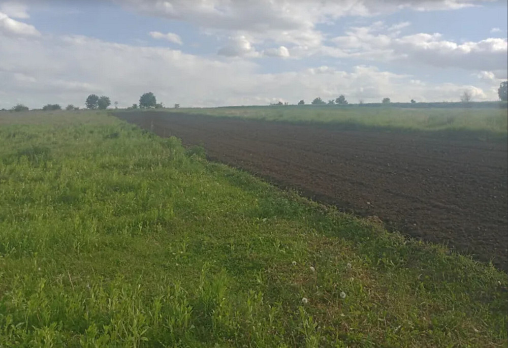 Продаж земельної ділянки 25 соток Baikivtsi - photo 3