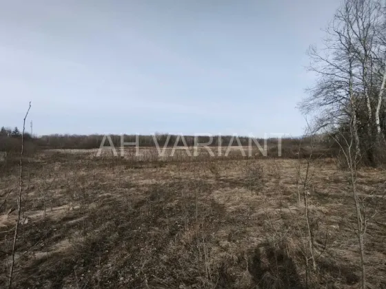 Продаж земельної ділянки Для сільськогосподарської діяльності площа 1191 сот Польова Середнє