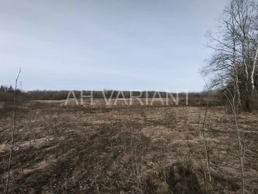 Продаж земельної ділянки Для сільськогосподарської діяльності площа 1191 сот Польова Середнє - фото 2